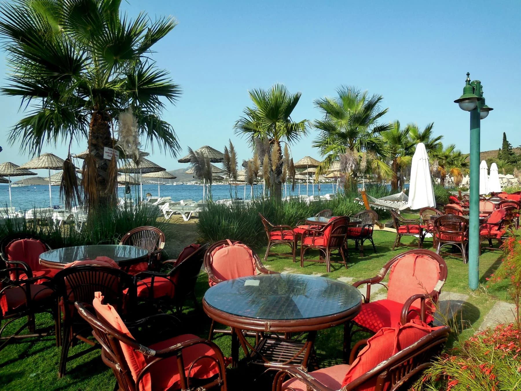 Yacht charter operation in Bodrum bay